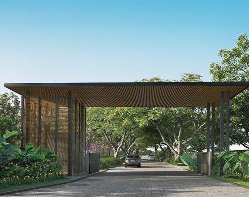 Assetz The First Bloom