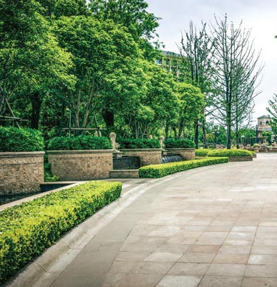 Assetz The First Bloom