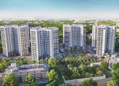 Prestige Pine Forest