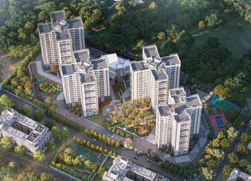 Prestige Pine Forest