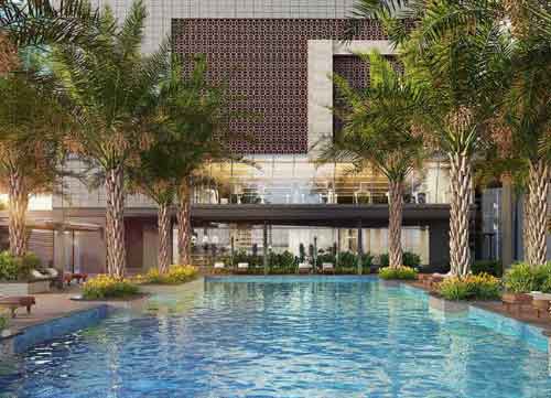 Prestige Pine Forest