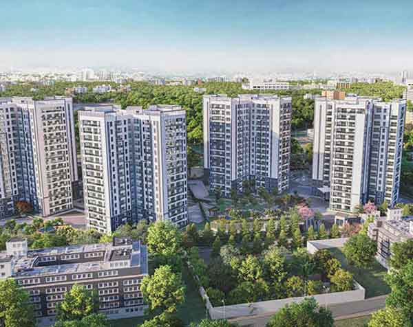 Prestige Pine Forest