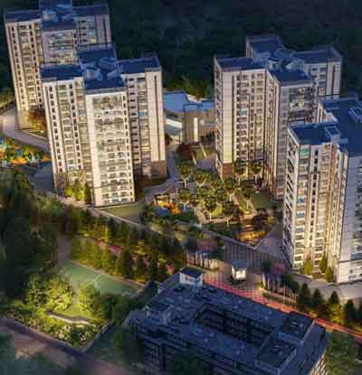 Prestige Pine Forest