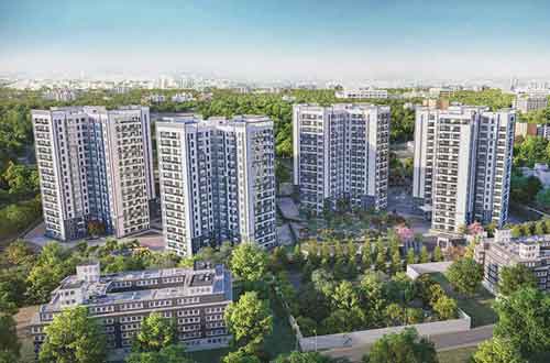 Prestige Pine Forest