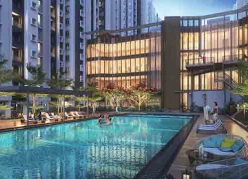 Provident Ecopolitan