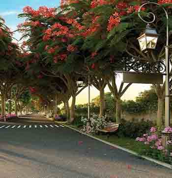 Sobha Chartered Birdsong